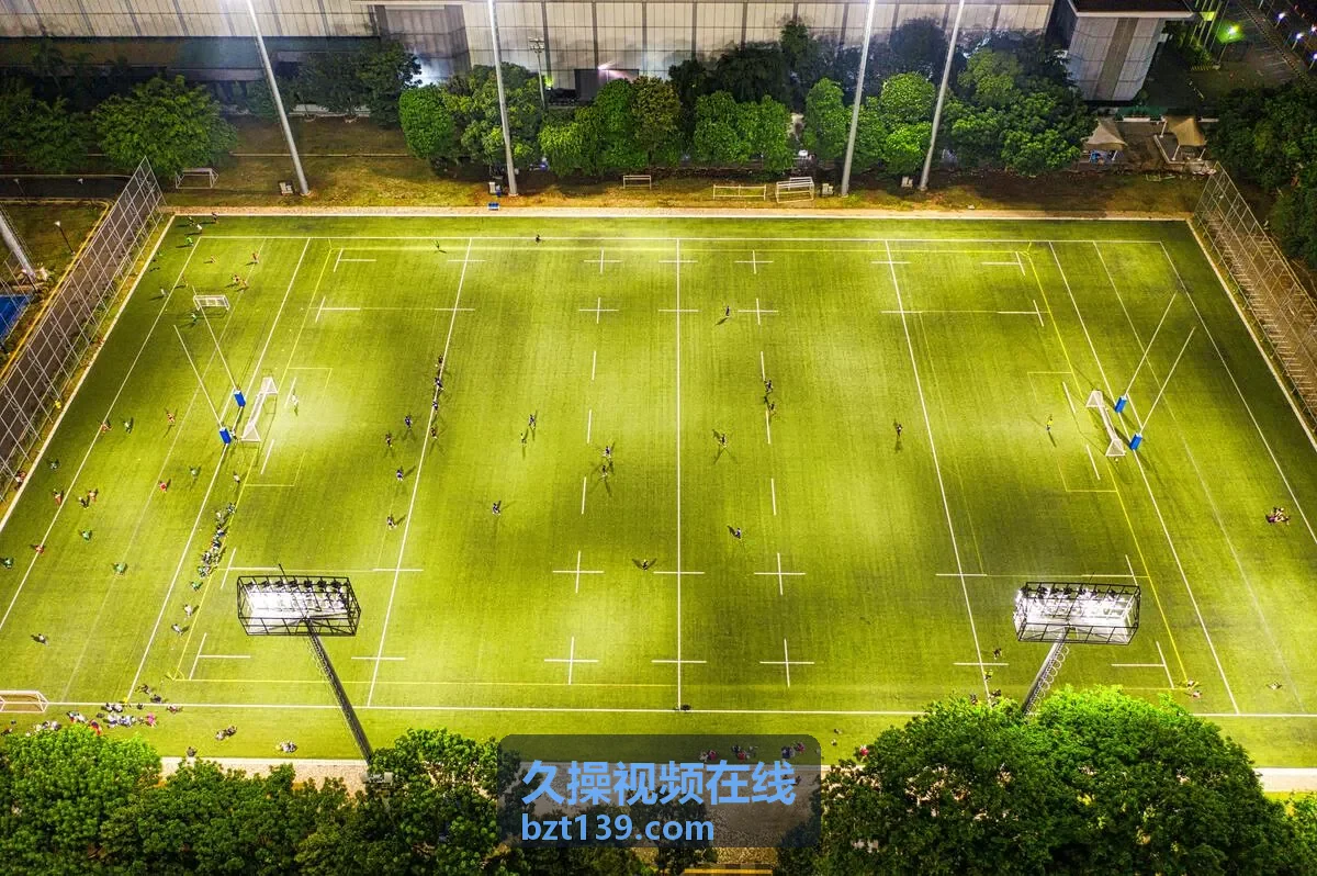 久操视频在线高清热映画质演示